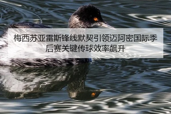 梅西苏亚雷斯锋线默契引领迈阿密国际季后赛关键传球效率飙升