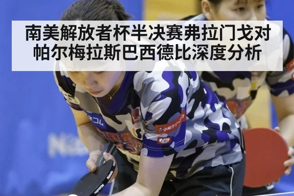南美解放者杯半决赛弗拉门戈对帕尔梅拉斯巴西德比深度分析