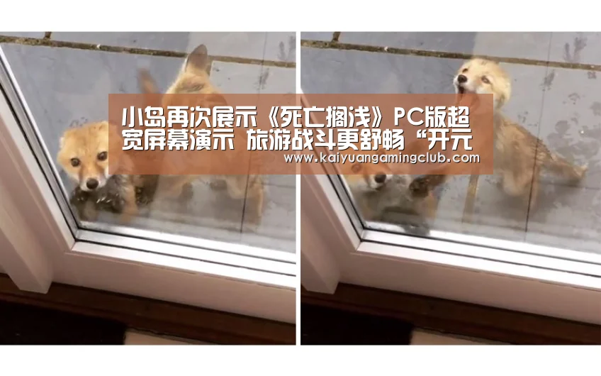 小岛再次展示《死亡搁浅》PC版超宽屏幕演示 旅游战斗更舒畅“开元直播”(图2) 开元百家乐